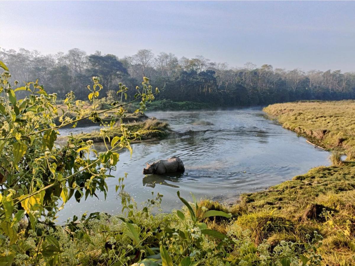 Hotel Tharu Garden, Sauraha Kültér fotó