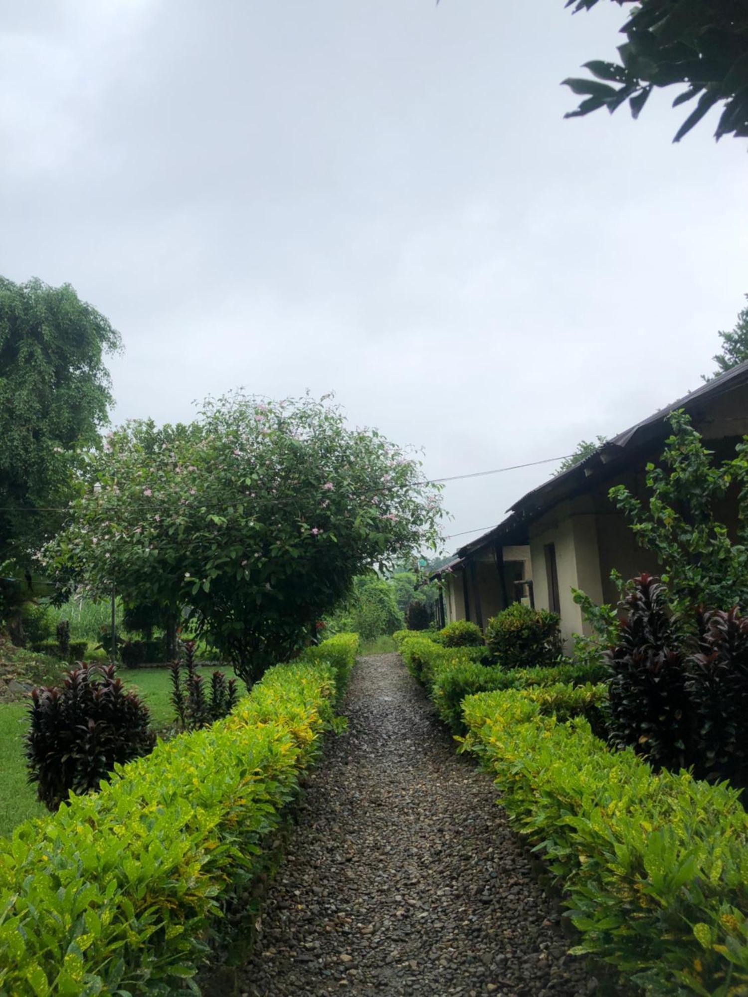 Hotel Tharu Garden, Sauraha Kültér fotó